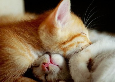 帶圖片的戀愛說說2