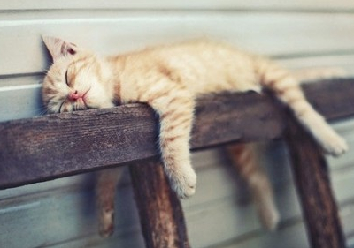 個(gè)性說說帶圖片7