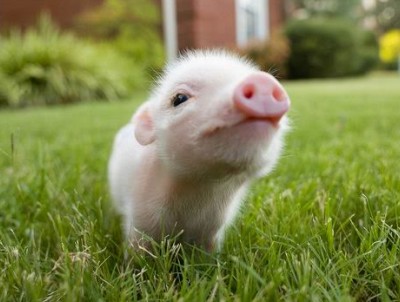 QQ空間搞笑說(shuō)說(shuō)帶圖片：誰(shuí)說(shuō)金錢買不來(lái)時(shí)間？網(wǎng)管，加兩塊錢！