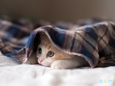 內(nèi)涵說說帶圖片：看過了你喜歡的人，才知道我是敗給了你的品位