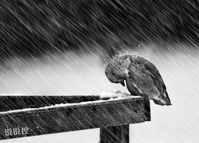 堅強的說說帶圖片5