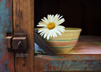 好聽(tīng)的英文說(shuō)說(shuō)帶圖片，有圖片的英文說(shuō)說(shuō)心情短語(yǔ)2