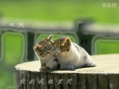 男生說(shuō)說(shuō)帶圖片5