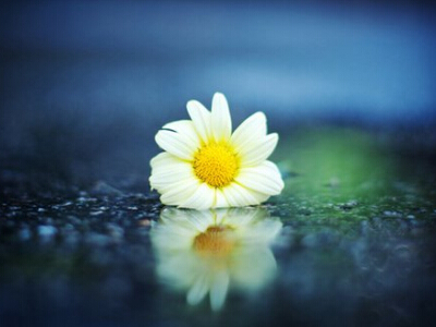 傷心的說(shuō)說(shuō)帶圖片1