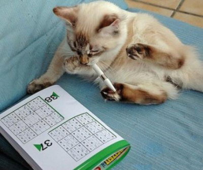 文字控說說帶圖片2