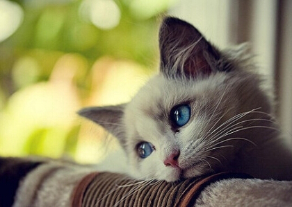 朋友圈搞笑說(shuō)說(shuō)配圖1