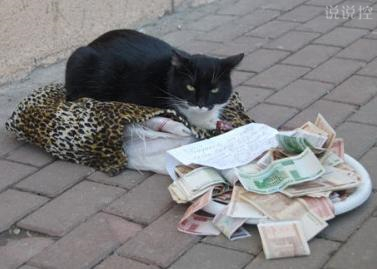 QQ個(gè)性說(shuō)說(shuō)帶圖片4