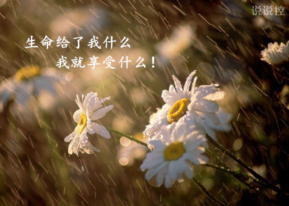 勵(lì)志說(shuō)說(shuō)圖片帶字5