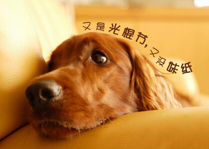 光棍節(jié)說說帶圖片，光棍節(jié)圖片說說大全