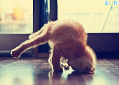 經(jīng)典說(shuō)說(shuō)圖片2