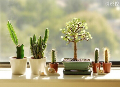 經(jīng)典說(shuō)說(shuō)圖片5