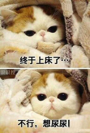 關(guān)于天冷的搞笑說說，形容天氣冷的幽默句子