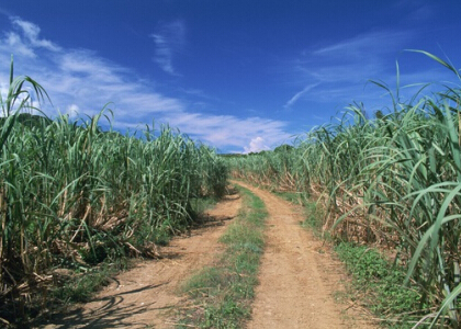 勵志說說大全帶圖片7