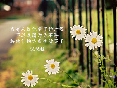 QQ說說圖片帶字6