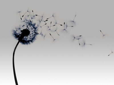 空間經(jīng)典說(shuō)說(shuō)帶圖片4