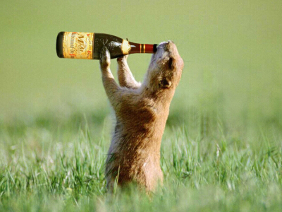 搞笑QQ說(shuō)說(shuō)大全