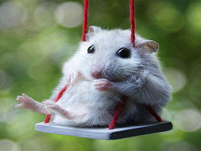 QQ空間惡搞說(shuō)說(shuō)