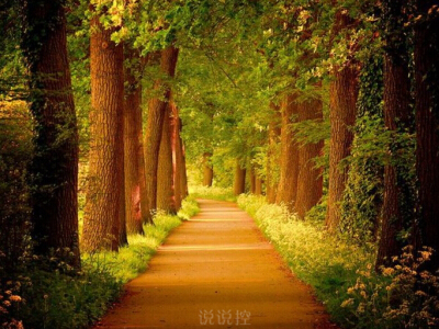 最有道理的說說帶圖片，有道理的文字說說帶圖片5