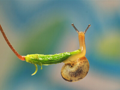 最有道理的說說帶圖片，有道理的文字說說帶圖片7