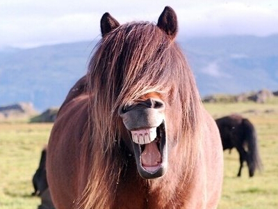 微信搞笑說說點開全文，QQ空間說說展開全文