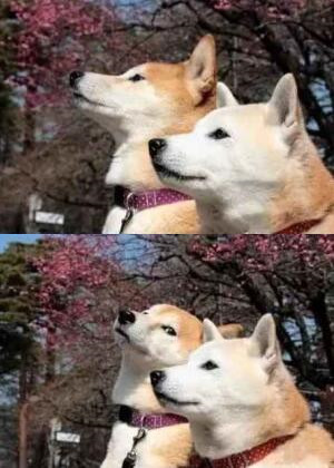 最適合發(fā)說說的圖片，適合寫說說的圖片大全5