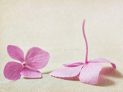 傷感唯美說說帶圖片，唯美傷感的句子圖片7