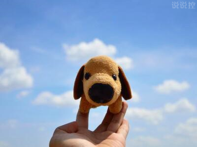 關(guān)于單身狗的說說，單身狗搞笑說說