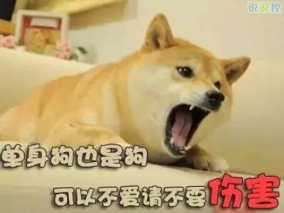 關(guān)于單身狗的說說，單身狗搞笑說說