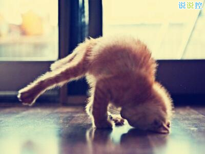 哲理英文說說帶圖片，哲理英文句子帶翻譯1