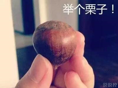 最搞笑的說說帶圖片，2017搞笑說說帶圖片4