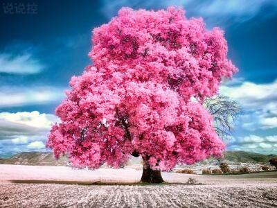 傷感唯美圖片說說，唯美傷感說說配圖6