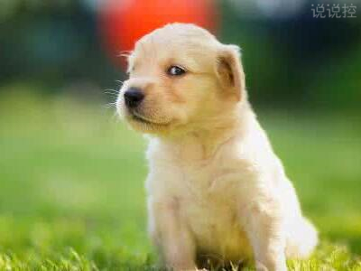 逗比的說(shuō)說(shuō)帶圖片，逗比說(shuō)說(shuō)配圖