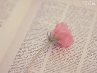 傷感愛情說說帶圖片7