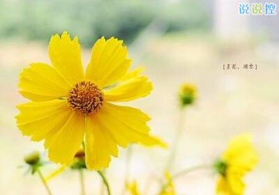 勵志的說說帶圖片，勵志的句子圖片5