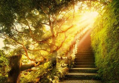 勵志的說說帶圖片，勵志的句子圖片6