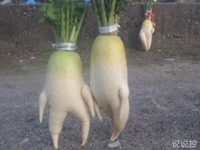 QQ搞笑說(shuō)說(shuō)大全