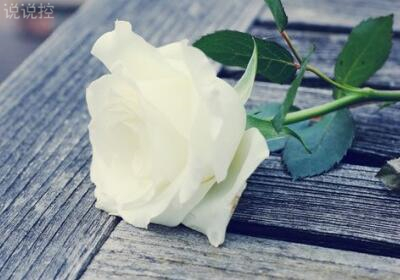 有意境說說帶圖片，意境說說配圖片6