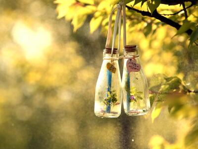 QQ空間唯美說說帶圖片7