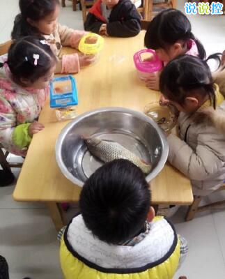 適合發(fā)說說的搞笑圖片，經(jīng)典搞笑說說帶圖片2