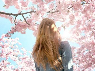 2018經(jīng)典句子帶圖片，經(jīng)典句子配圖7