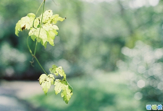 抖音最火扎心語錄 2019痛到心碎的句子1