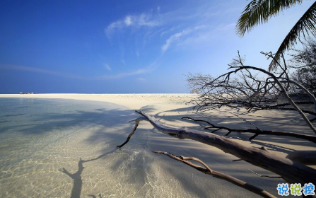 比較有深度很受歡迎的愛情說說帶圖片 對愛情有所感悟的經(jīng)典說說大全14