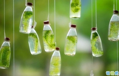 用一生來愛你的說說表白的話配圖 句句經(jīng)典值得一看的愛情說說9