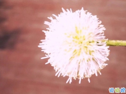 微信個性說說簡短帶圖片 很不一樣的微信說說精選3