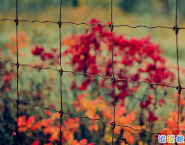 充滿陽光的簡短句子 鼓勵(lì)人的勵(lì)志說說心靈雞湯合集2