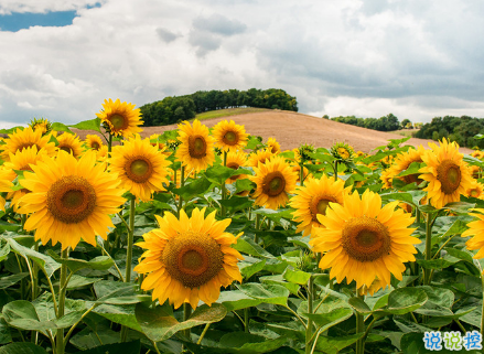 超走心的治愈系唯美句子 送給感情中需要療傷的人1
