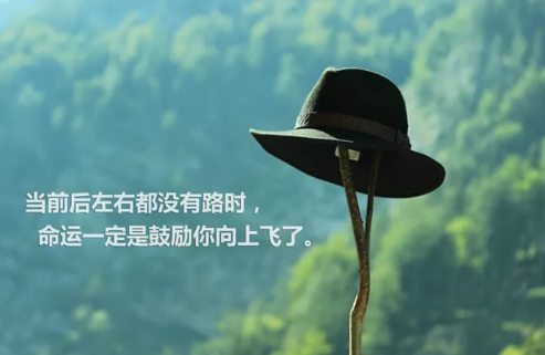 人生感悟的句子簡(jiǎn)短很精辟的那種 關(guān)于對(duì)人生感悟的句子1