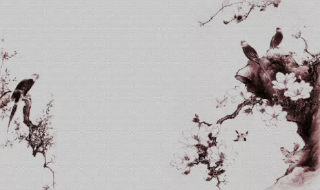 唯美到心碎的古風句子帶圖片 唯美古風句子句句催淚12