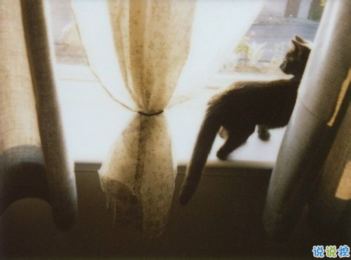 感情是最痛的一道傷疤傷感句子大全 很難過(guò)憂傷的傷感句子2