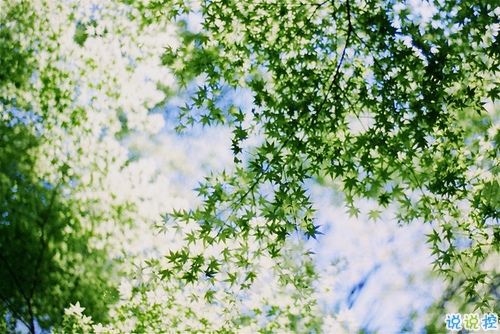 心好累的傷感說說非主流帶圖片 喜歡一個人卻得不到的悲傷說說12